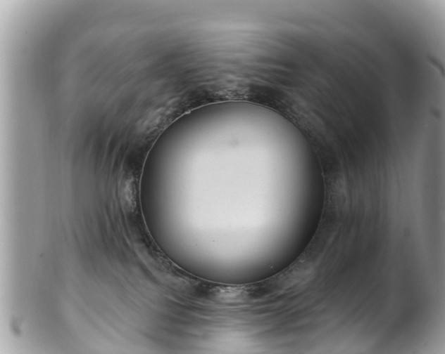 X0000101180088200807071256