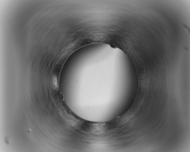 X0000101180089200807071256