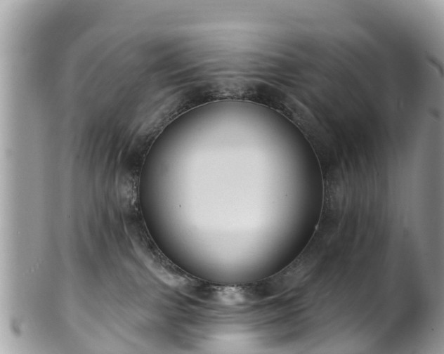 X0000101180091200807071256