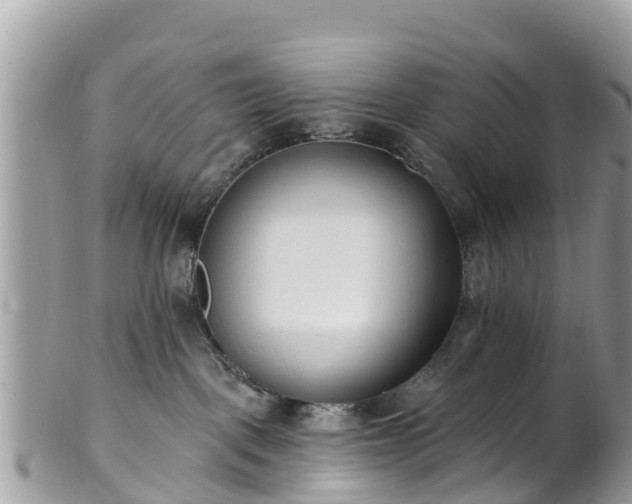 X0000101180093200807071256