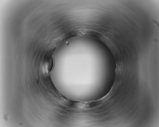X0000101180094200807071256