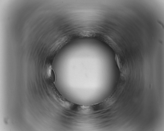 X0000101180095200807071256