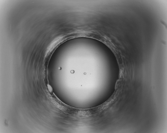 X0000101180101200807071255