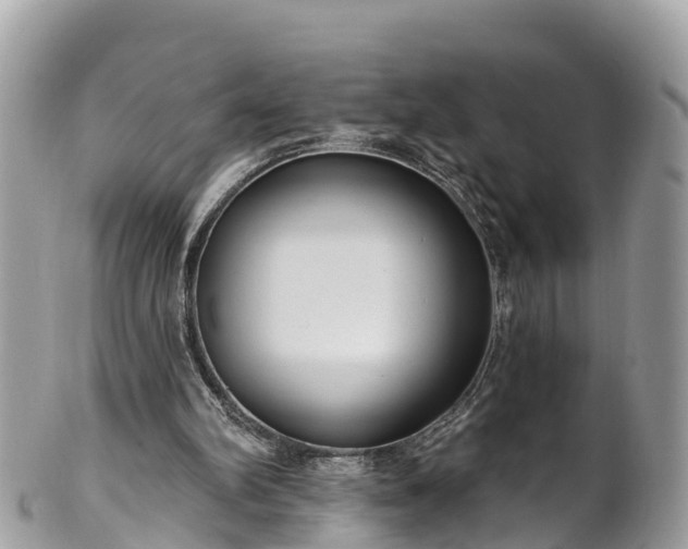 X0000101180102200807071255