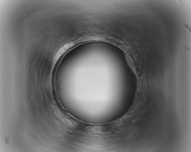 X0000101180104200807071255