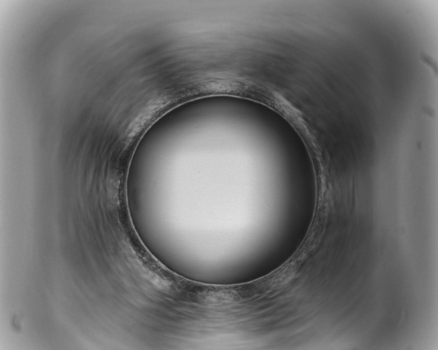 X0000101180106200807071255