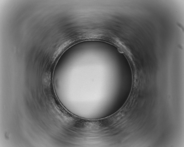 X0000101180107200807071255