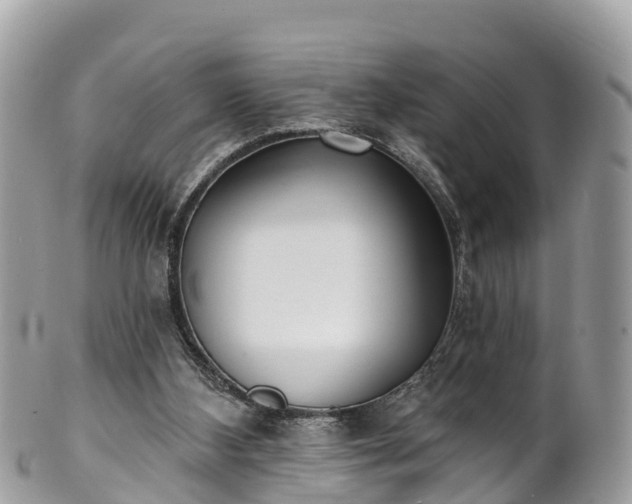 X0000101180108200807071255