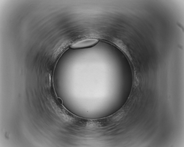 X0000101180109200807071255
