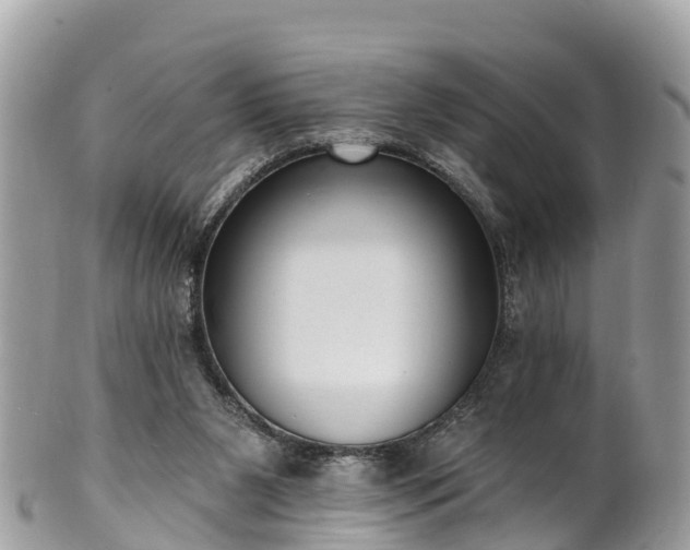 X0000101180111200807071255