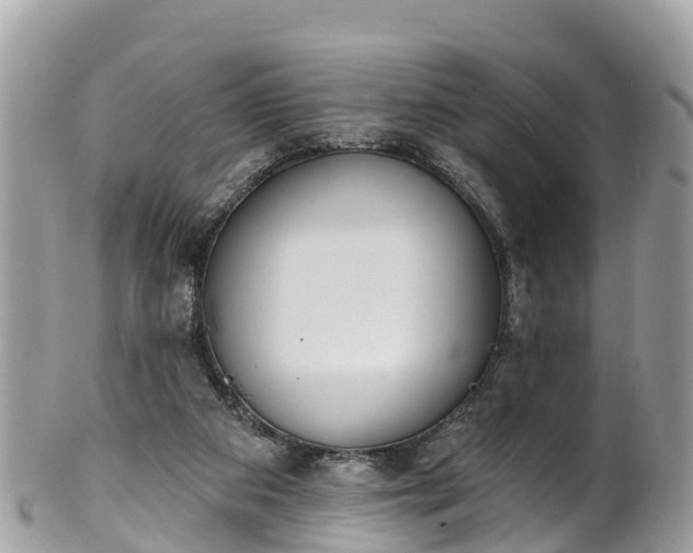 X0000101180113200807071255