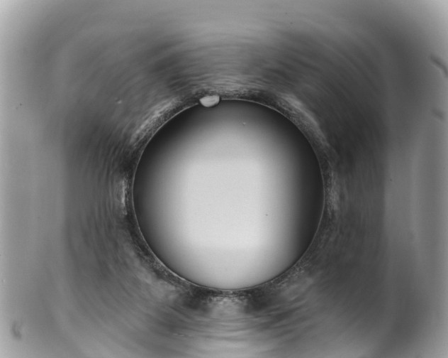 X0000101180115200807071255