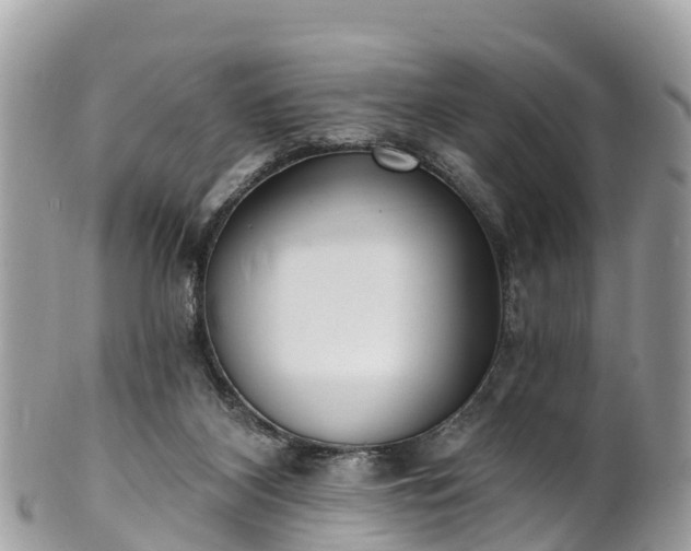X0000101180116200807071255