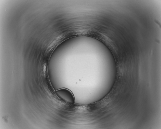 X0000101180118200807071255