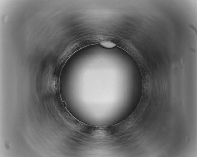 X0000101180119200807071255