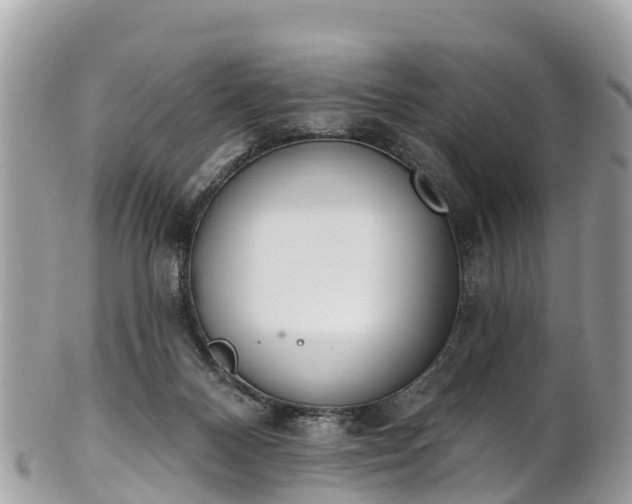 X0000101180120200807071255