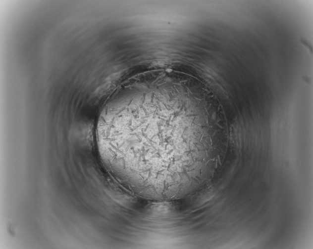 X0000101180127200807071255