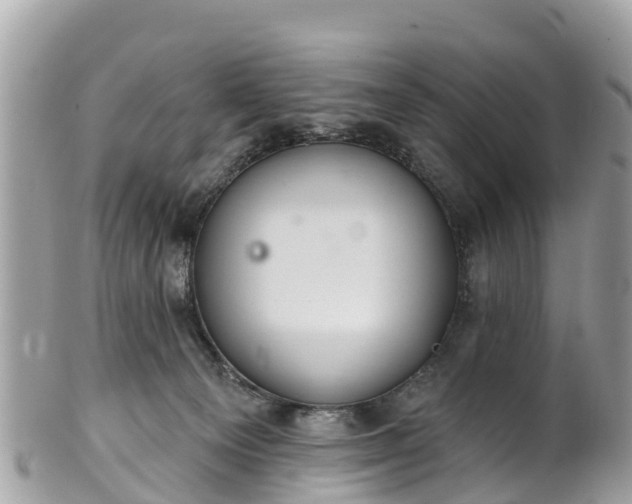 X0000101180129200807071255