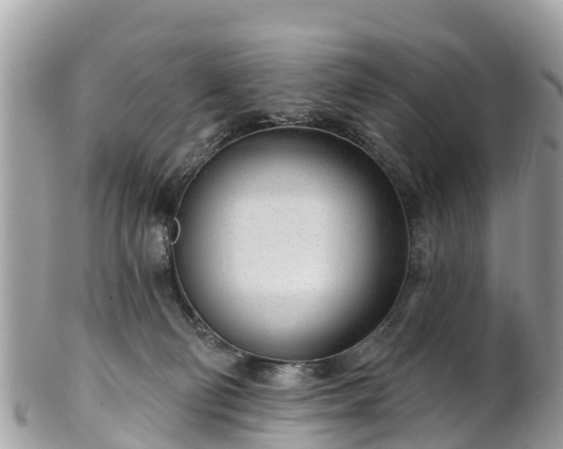 X0000101180130200807071255