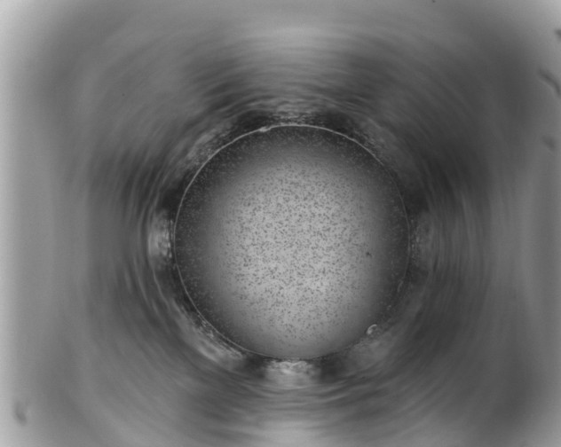 X0000101180137200807071255