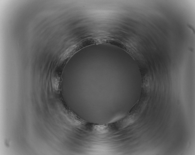X0000101180139200807071255