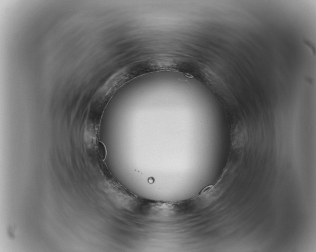 X0000101180140200807071255