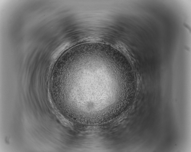 X0000101180145200807071254