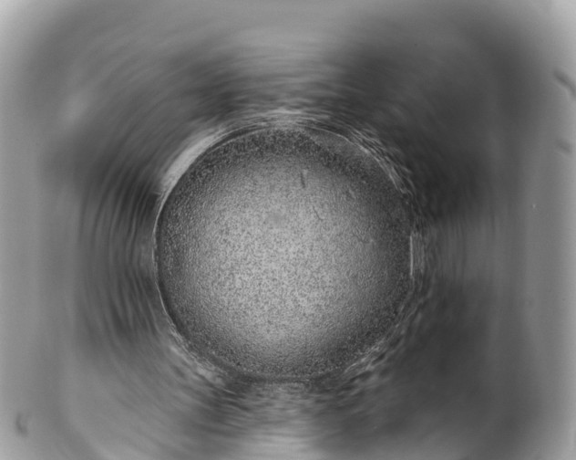 X0000101180147200807071254