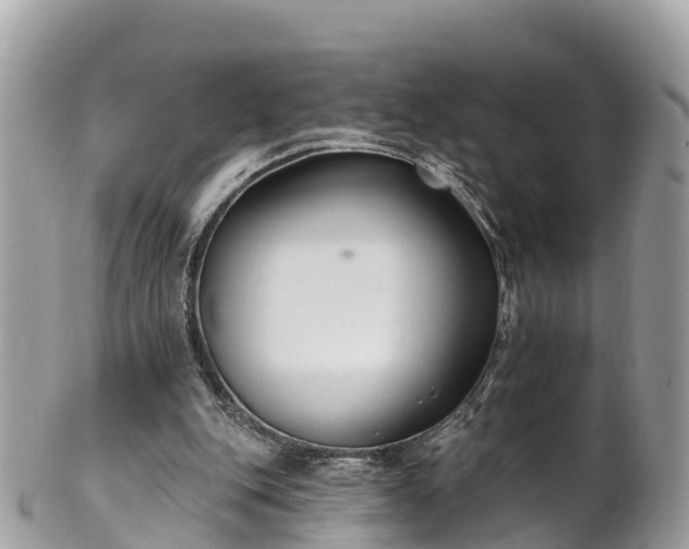 X0000101180151200807071254