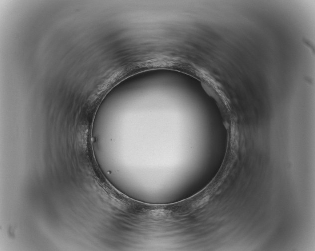 X0000101180153200807071254