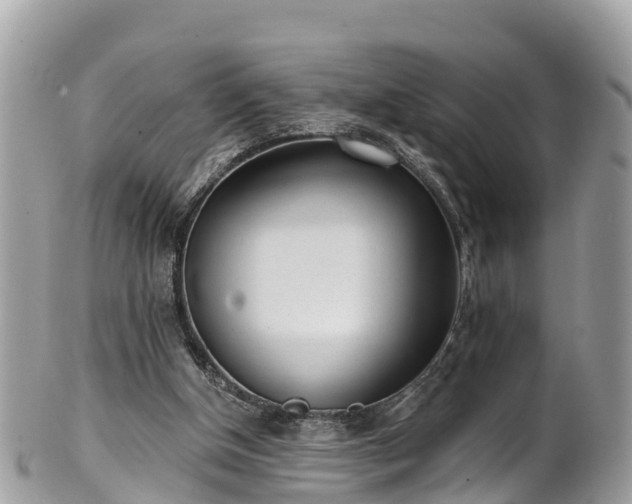 X0000101180154200807071254