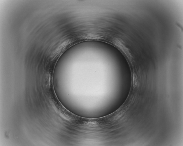 X0000101180157200807071254
