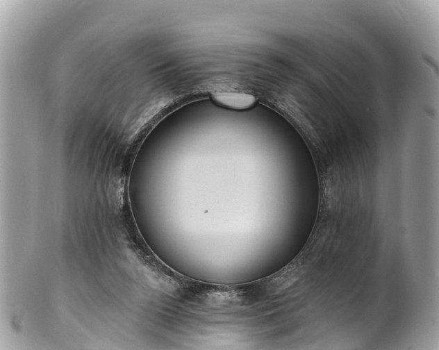 X0000101180160200807071254