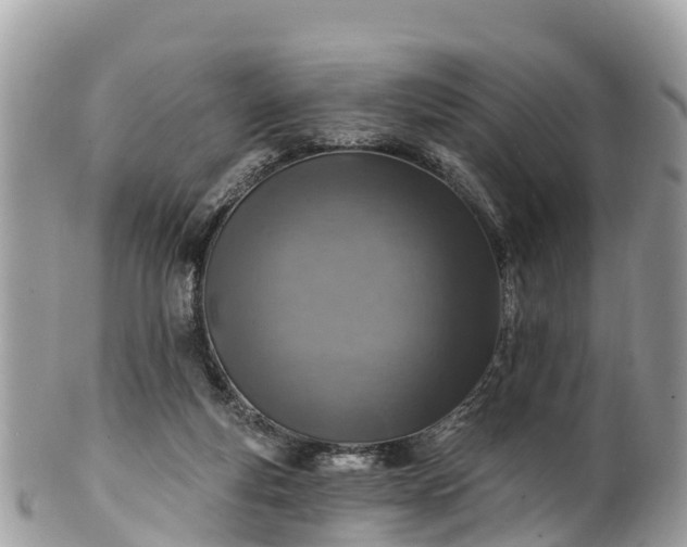 X0000101180163200807071254
