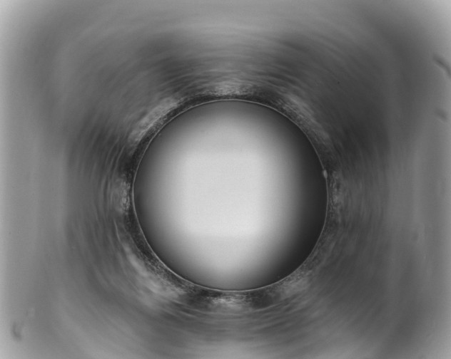 X0000101180164200807071254