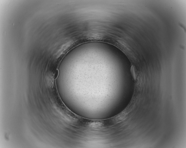 X0000101180168200807071254