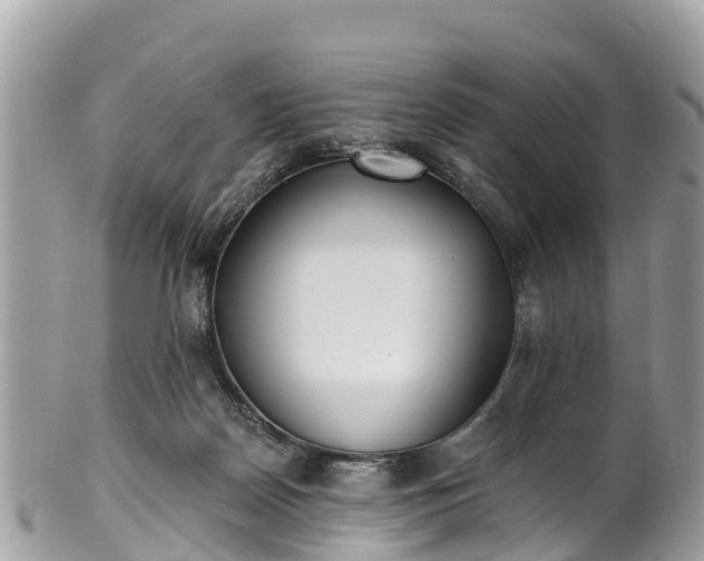 X0000101180170200807071254