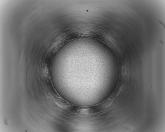 X0000101180173200807071254