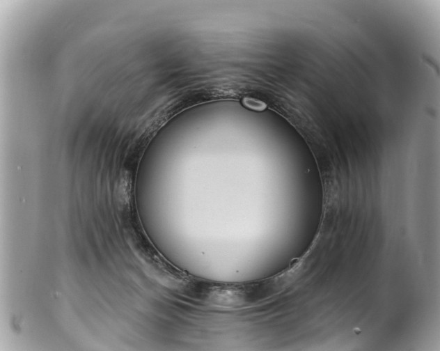 X0000101180174200807071254