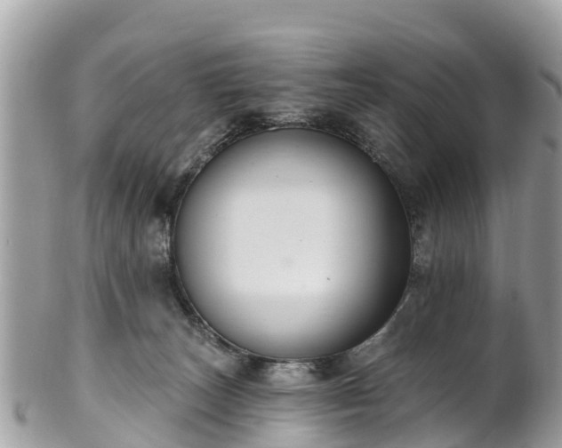 X0000101180179200807071254