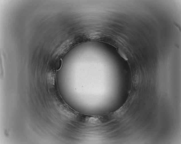 X0000101180180200807071254