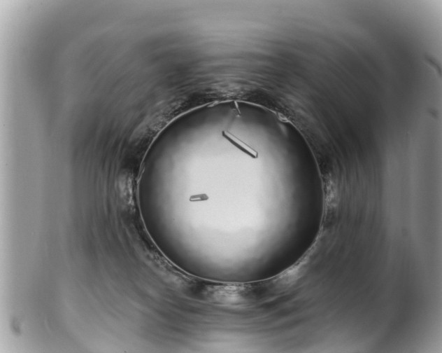 X0000101180182200807071254