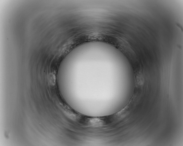 X0000101180183200807071254