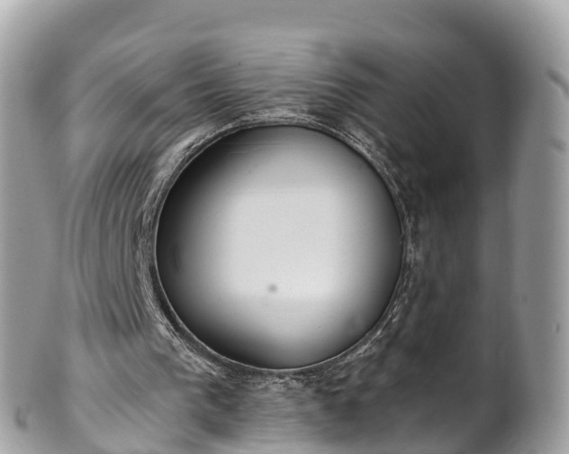 X0000101180193200807071254