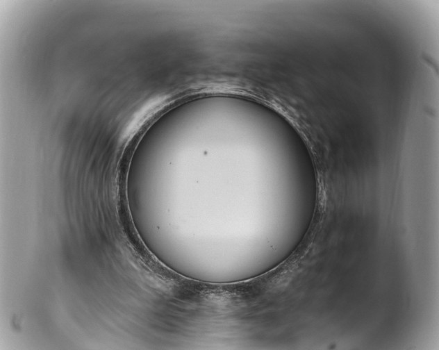 X0000101180199200807071253