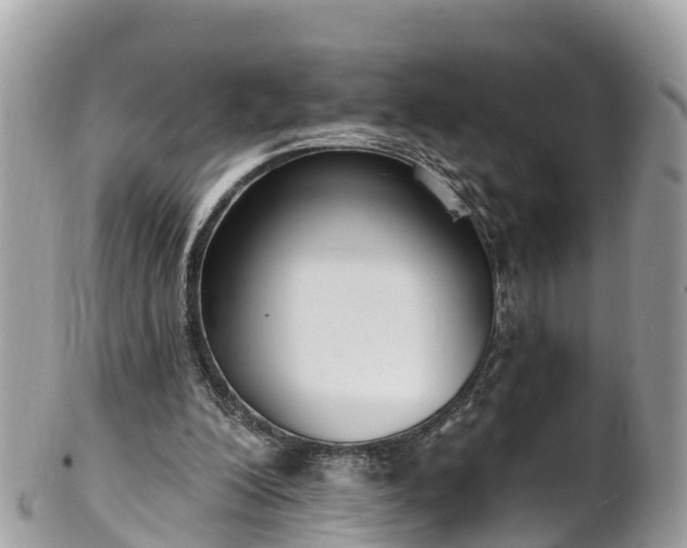 X0000101180200200807071253