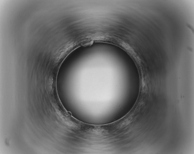 X0000101180201200807071253