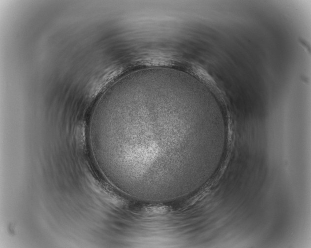 X0000101180202200807071253