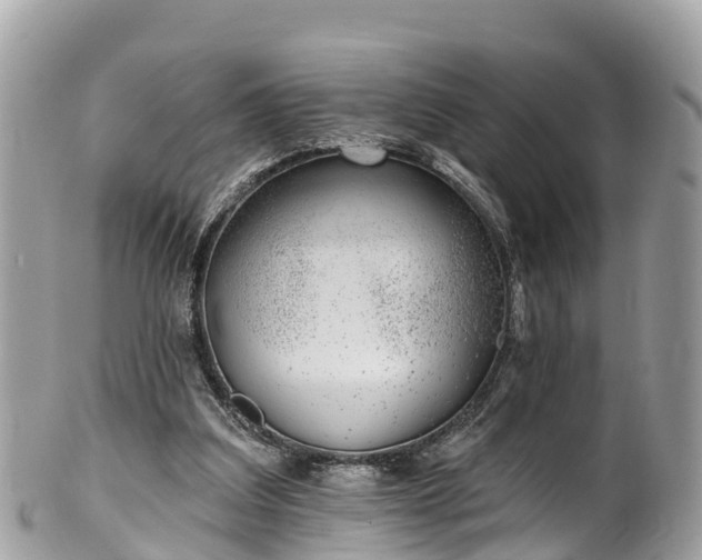 X0000101180203200807071253