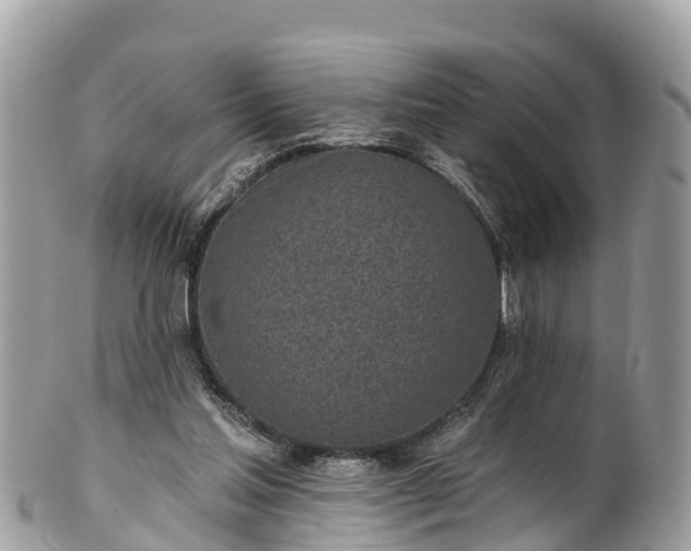 X0000101180205200807071253